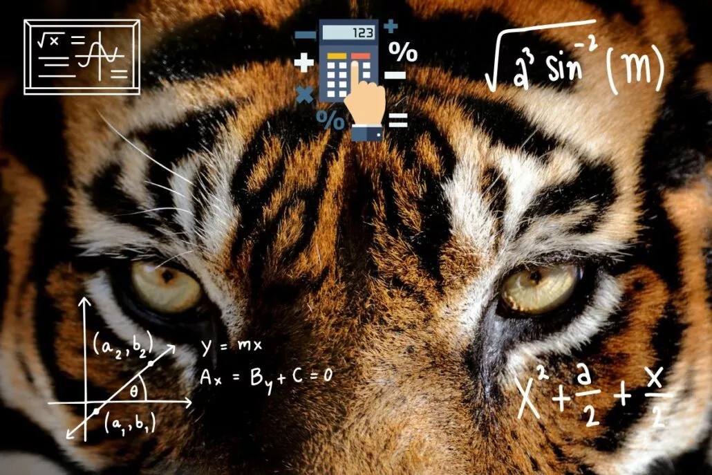 Jogo do Tigre: Guia Completo, Estratégias, Regras e Dicas para Vencer