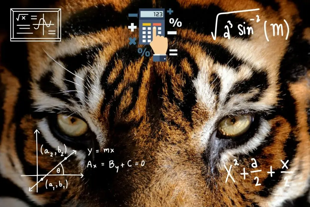 Jogo do Tigre: Guia Completo, Estratégias, Regras e Dicas para Vencer