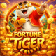 Melhor Horário para Jogar Fortune Tiger o Jogo do Tigrinho